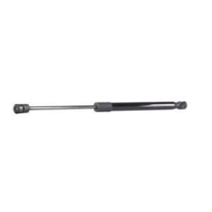 Tailgate Strut - RIDEX 219G0855