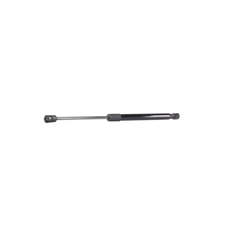 Tailgate Strut - RIDEX 219G0855