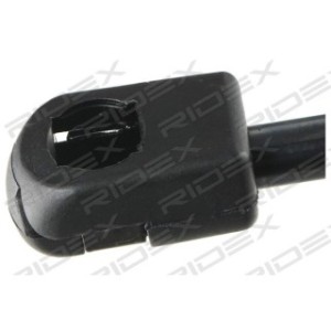 Tailgate Strut - RIDEX 219G0856