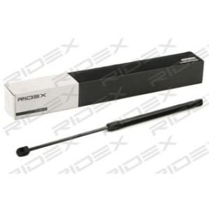 Tailgate Strut - RIDEX 219G0856