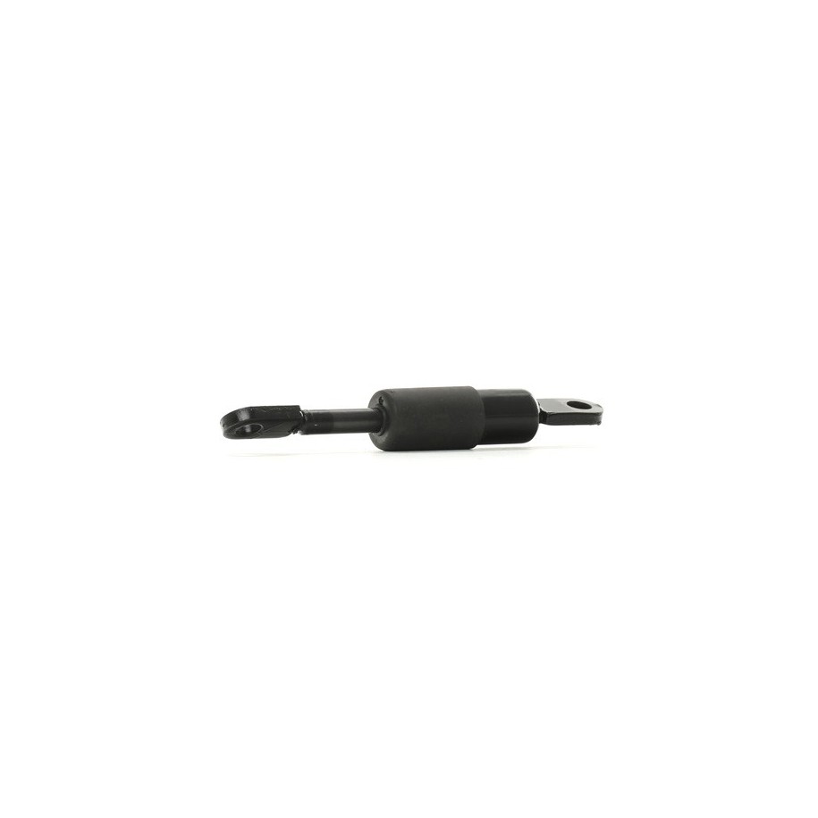 Tailgate Strut - RIDEX 219G0857