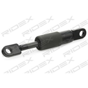 Tailgate Strut - RIDEX 219G0857