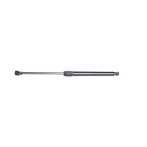 Tailgate Strut - RIDEX 219G0858