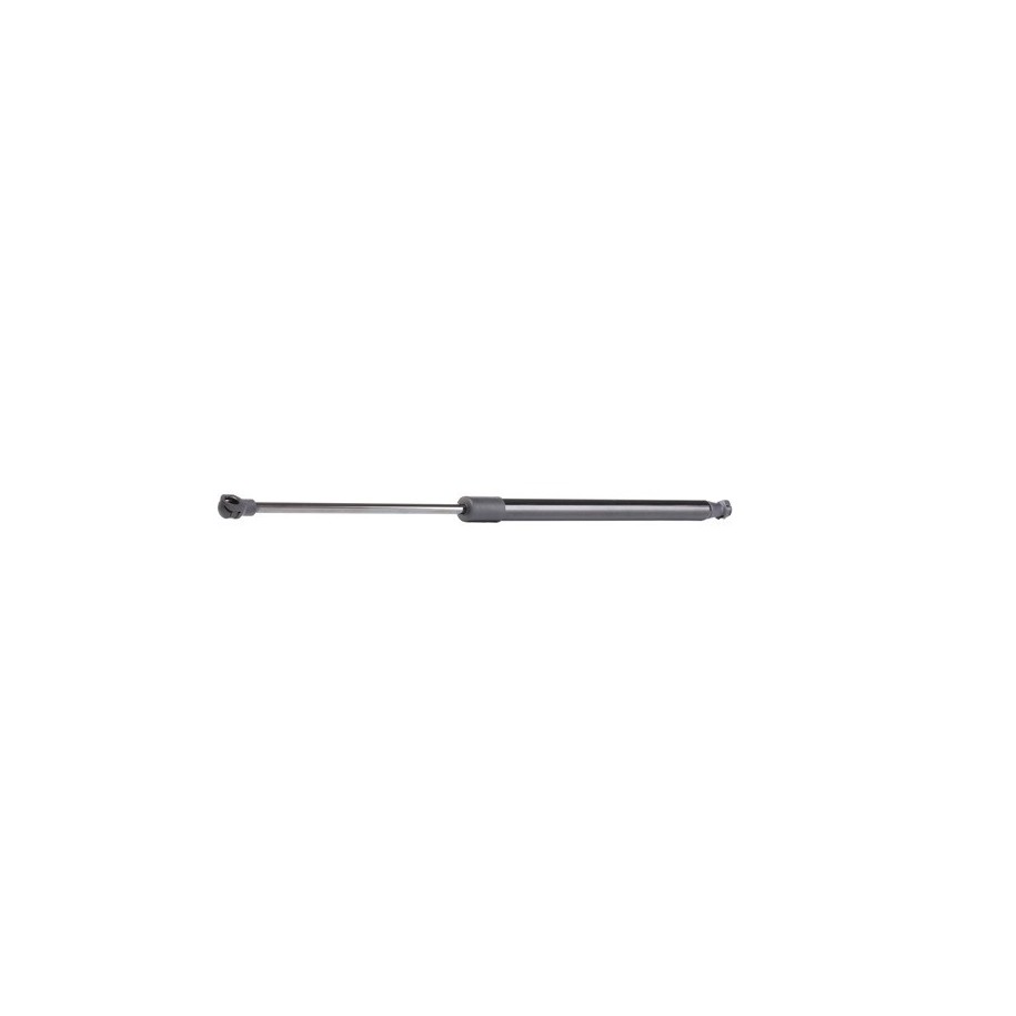 Tailgate Strut - RIDEX 219G0858