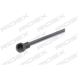 Tailgate Strut - RIDEX 219G0858