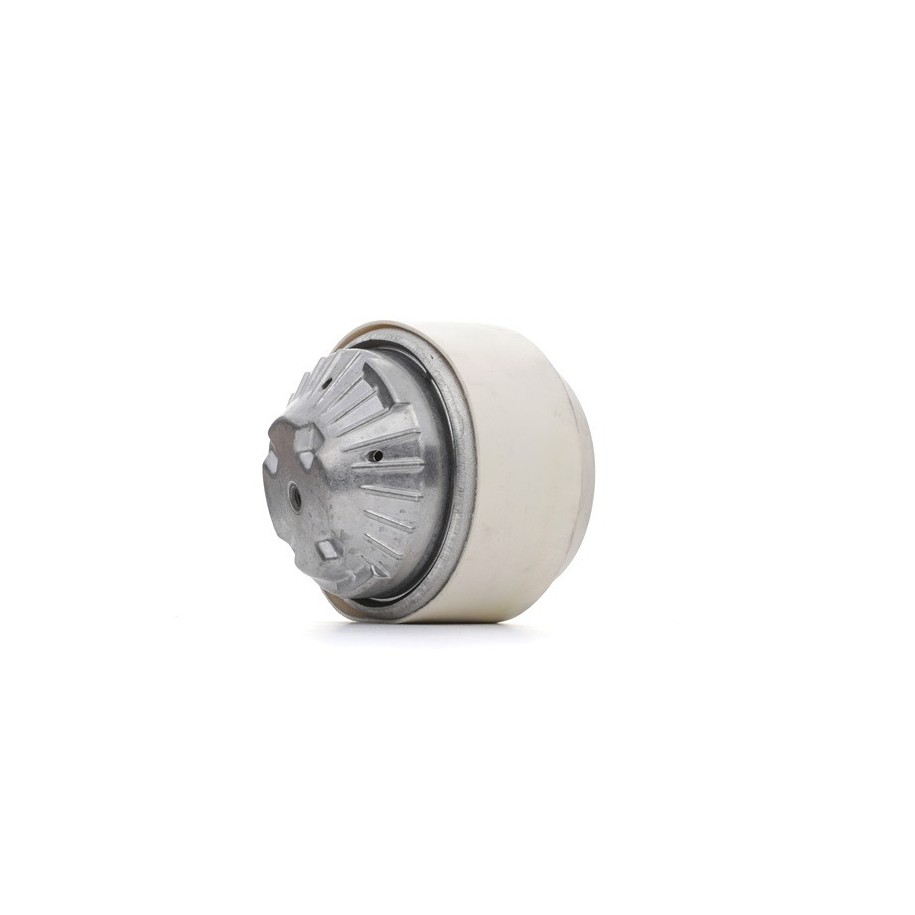 Engine Mounting - RIDEX 247E0210
