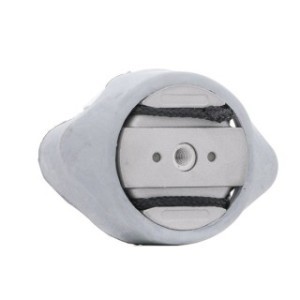 Engine Mounting - RIDEX 247E0256