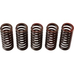 Buy Clutch Spring Set TRW MEF304-5