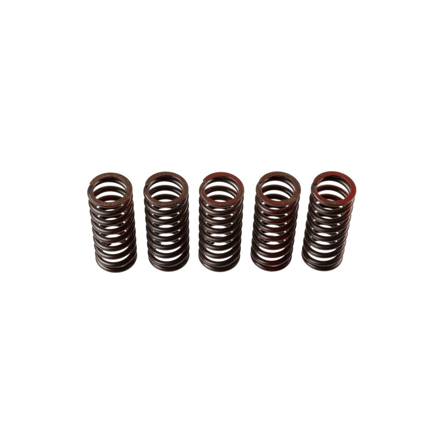 Buy Clutch Spring Set TRW MEF304-5