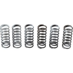 Buy Clutch Spring Set TRW MEF305-6 for SUZUKI DL SV