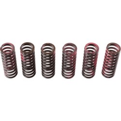 Buy Clutch Spring Set TRW MEF307-6