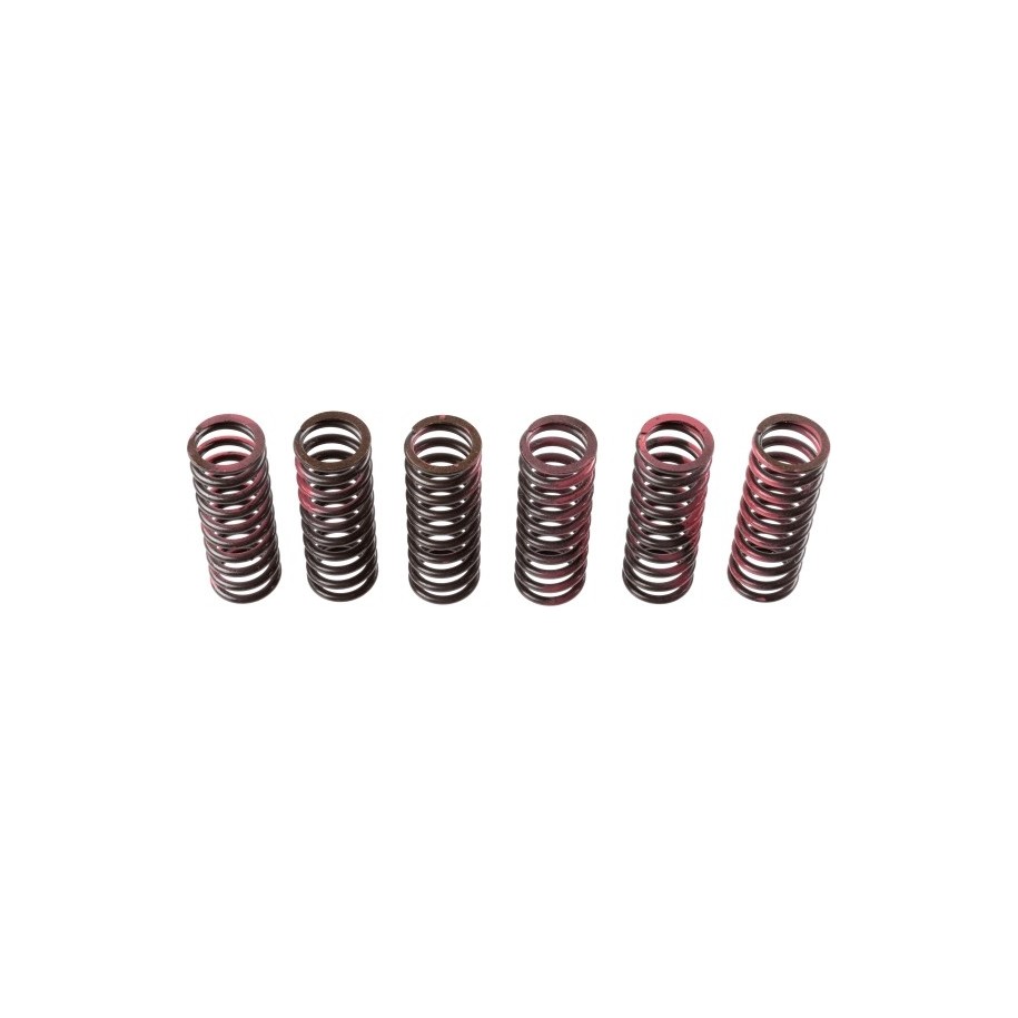 Buy Clutch Spring Set TRW MEF307-6