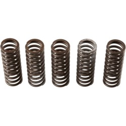 Buy Clutch Spring Set TRW MEF308-6
