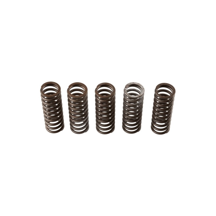 Buy Clutch Spring Set TRW MEF308-6
