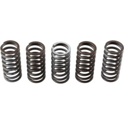 Buy Clutch Spring Set TRW MEF309-5 for HONDA CRF