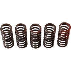 Buy Clutch Spring Set TRW MEF310-5