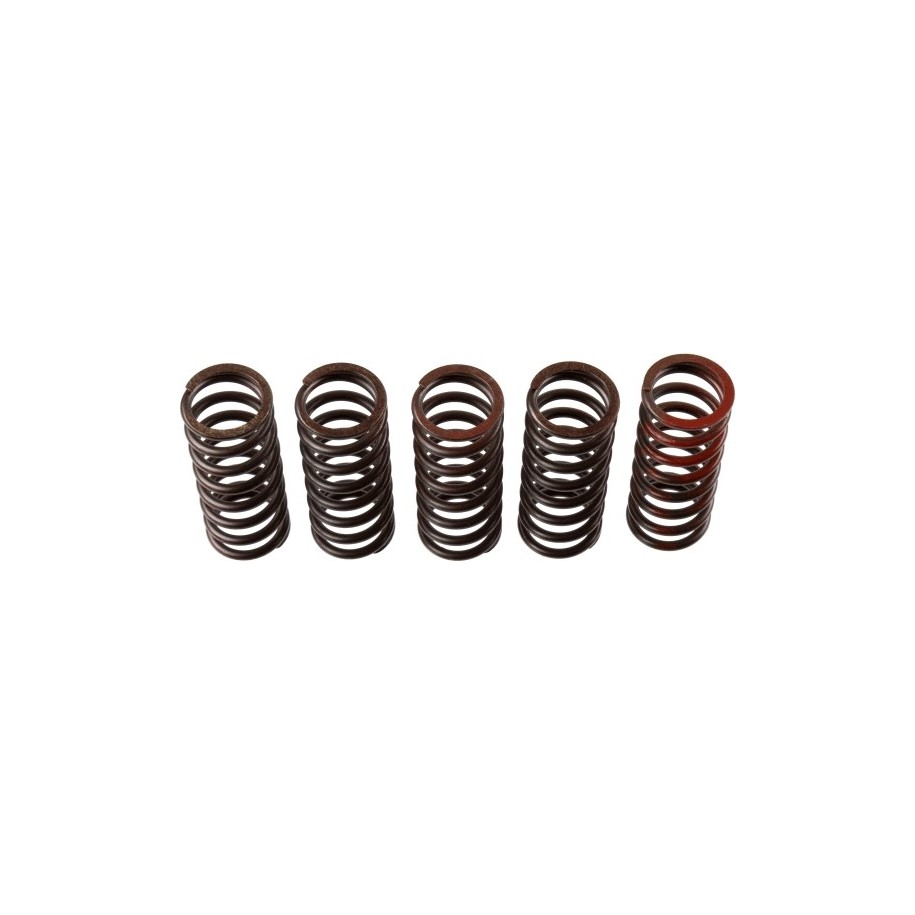 Buy Clutch Spring Set TRW MEF310-5