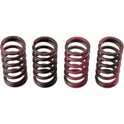 Buy Clutch Spring Set TRW MEF311-4
