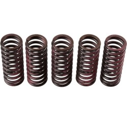 Buy Clutch Spring Set TRW MEF312-5