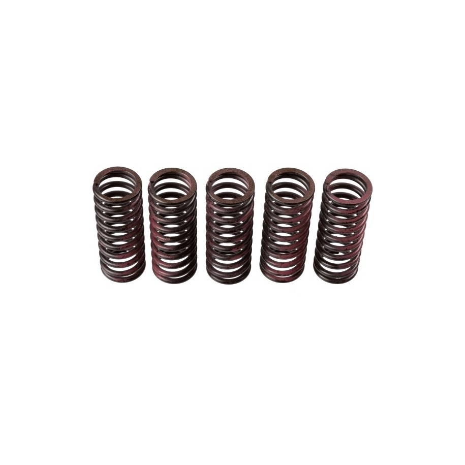 Buy Clutch Spring Set TRW MEF312-5