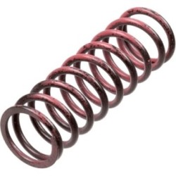 Buy Clutch Spring Set TRW MEF313-6