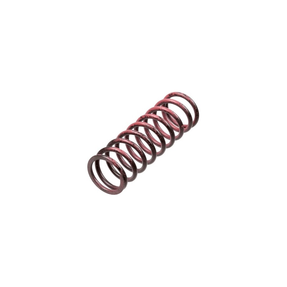 Buy Clutch Spring Set TRW MEF313-6