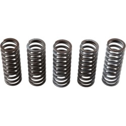 Buy Clutch Spring Set TRW MEF314-5