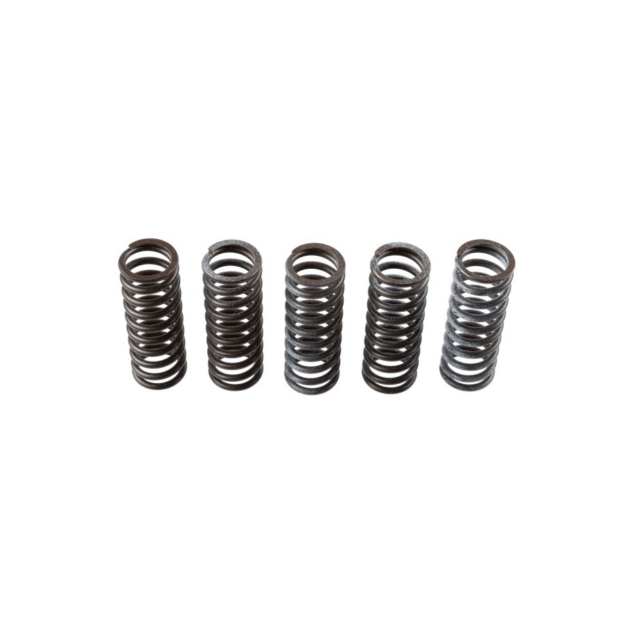 Buy Clutch Spring Set TRW MEF314-5