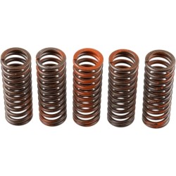 Buy Clutch Spring Set TRW MEF321-5 for YAMAHA MT XT