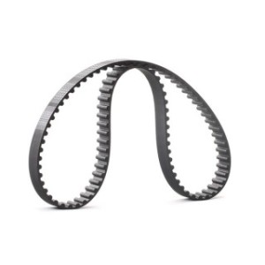 Timing Belt - RIDEX 306T0248