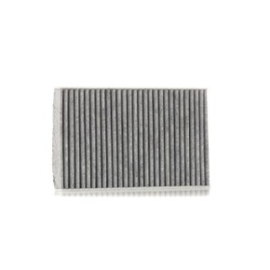 Cabin Air Filter - RIDEX 424I0421