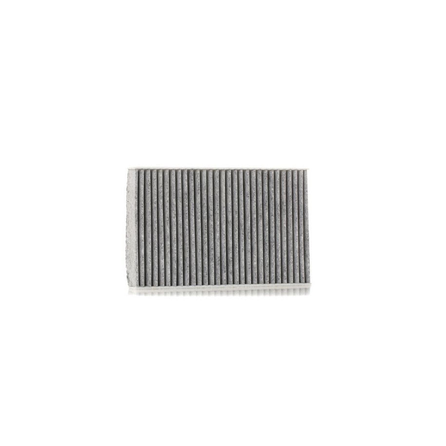 Cabin Air Filter - RIDEX 424I0421