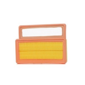 Air Filter - RIDEX 8A0663