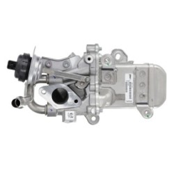 Buy Egr Module VALEO 700488 147354256R