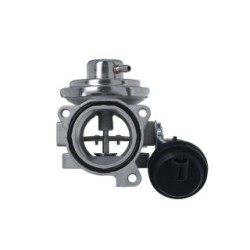 Buy Egr Valve VALEO 703268 for SEAT SKODA VW 038131501AR