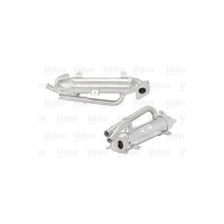 Buy Egr Cooler VALEO 817754 for AUDI SKODA VW 038131513S