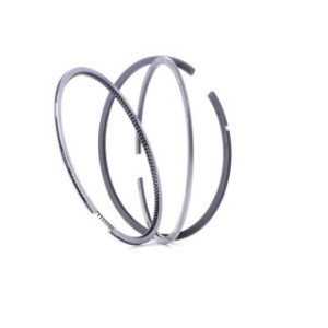 Piston Ring Kit - RIDEX 444P0006