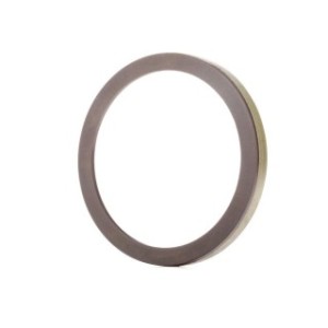 ABS Sensor Ring - RIDEX 2254S0027