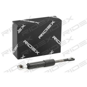 Rear Windscreen Gas Spring - RIDEX 2454G0006