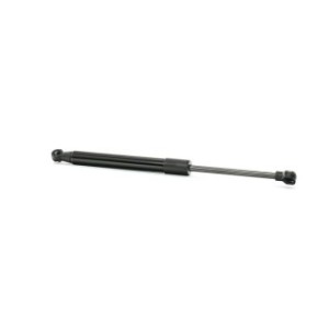 Rear Windscreen Gas Spring - RIDEX 2454G0008