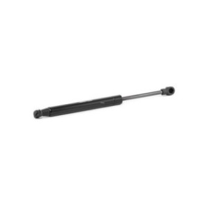Rear Windscreen Gas Spring - RIDEX 2454G0015