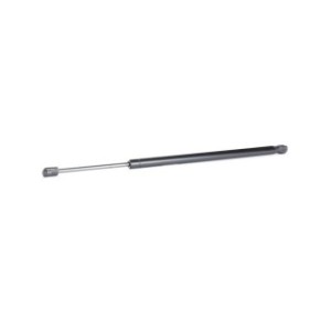 Rear Windscreen Gas Spring - RIDEX 2454G0016