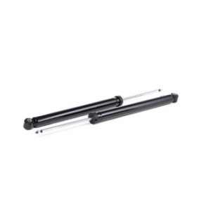 Shock Absorber - RIDEX 854S1531