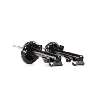 Shock Absorber - RIDEX 854S1534