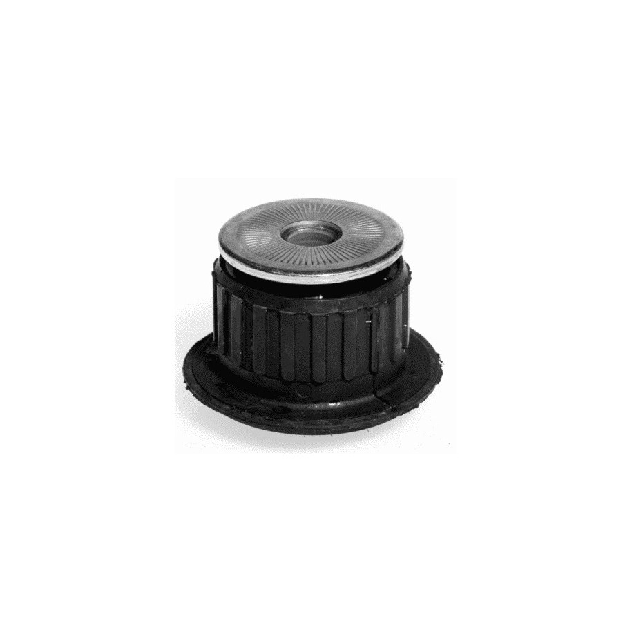 Support Mounting (AMT) LEMFORDER 1007102 for AUDI 100 200 V8