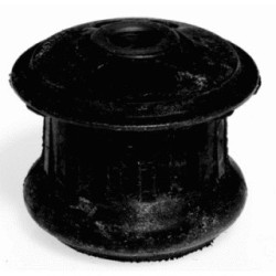 Support Mounting (AMT) LEMFORDER 1009101 for AUDI 100 200 V8