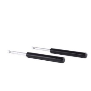 Shock Absorber - RIDEX 854S1754