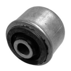 Control Trailing Arm Mounting LEMFORDER 2037501 for RENAULT