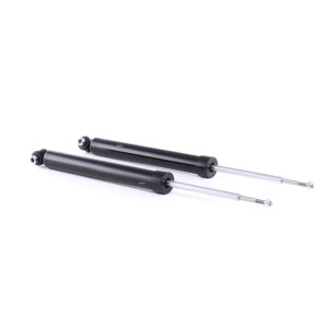 Shock Absorber - RIDEX 854S1798