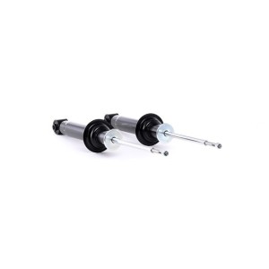Shock Absorber - RIDEX 854S1810
